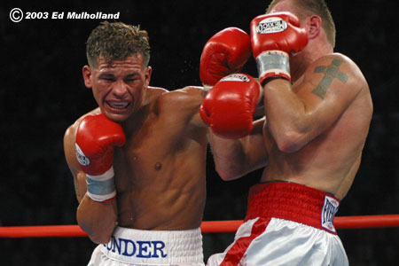 gatti021.jpg (450x300, 31Kb)