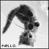 2202597.gif (100x100, 10Kb)