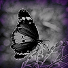 c1e55ccb.gif (100x100, 12Kb)