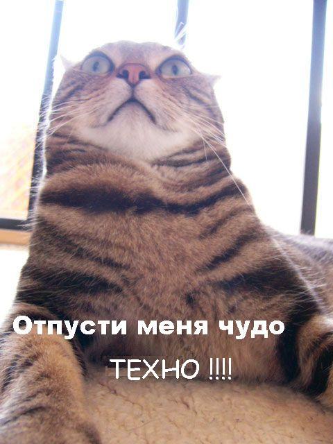 aboutall-1133106854_i_2070.JPG (480x640, 48Kb)