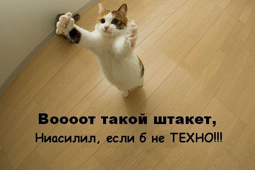 aboutall-1133107180_i_4768.JPG (500x333, 25Kb)