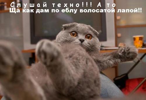 aboutall-1133106930_i_9654.JPG (500x343, 22Kb)