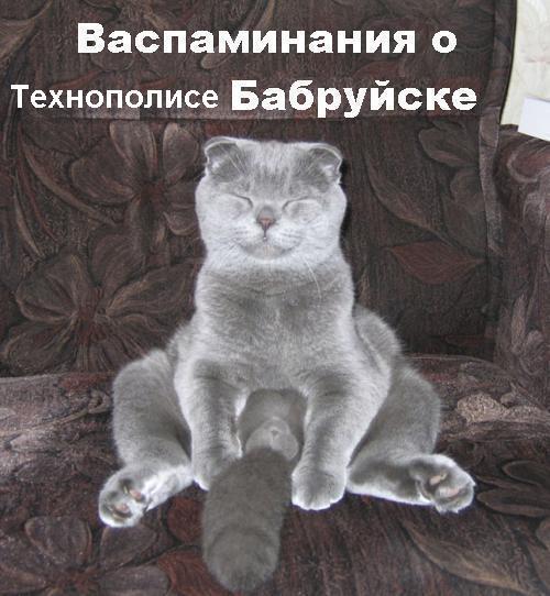 aboutall-1133107096_i_3432.JPG (500x542, 48Kb)