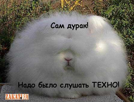 aboutall-1133107096_i_34382.JPG (446x340, 32Kb)
