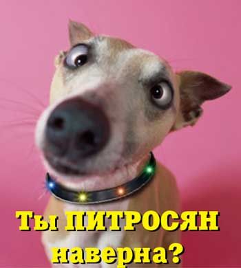 3978620_45.jpg (350x390, 17Kb)
