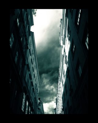 5395514_4577764_109224_44493_2403368.jpg (320x400, 17Kb)