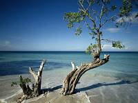 beachs_068.jpg (200x150, 6Kb)