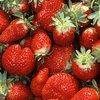strawberries.jpg (100x100, 4Kb)