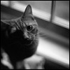 853150_671542.jpg (100x100, 20Kb)