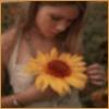 sunflower.JPG (100x100, 8Kb)