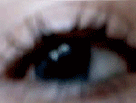 2925630.gif (150x114, 229Kb)
