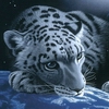 773609_458806.jpg (100x100, 11Kb)