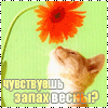  (1).gif (100x100, 10Kb)