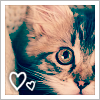 kitten001.png (100x100, 18Kb)