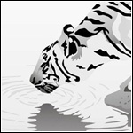 3.jpg (150x150, 9Kb)