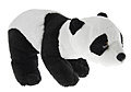 panda_x120.jpg (120x84, 3Kb)