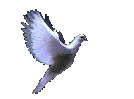 .gif (134x99, 37Kb)