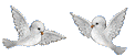 085.gif (122x51, 3Kb)
