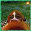cap1079.gif (100x100, 35Kb)