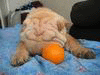 1449638.gif (100x75, 14Kb)