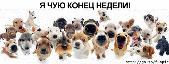  weekend2.gif (698x266, 245Kb)