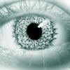 0309-21.jpg (100x100, 3Kb)