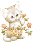 kitty28.gif (120x152, 13Kb)