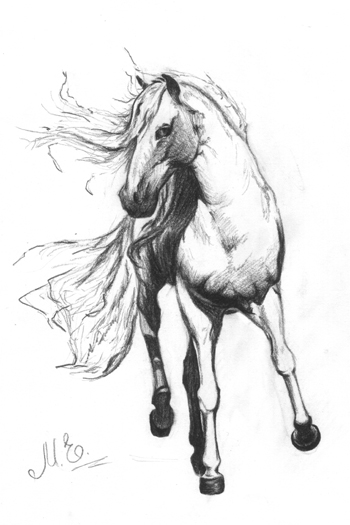 a_a92a88.jpg (350x525, 91Kb)