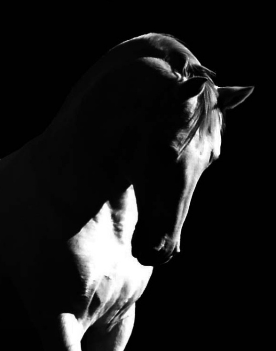 a_f43380.jpg (550x700, 46Kb)