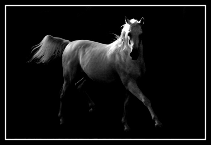 a_21ed59.jpg (700x479, 49Kb)