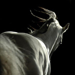 a_3d1bf8.JPG (150x150, 24Kb)
