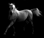 a_21ed59.JPG (150x130, 19Kb)