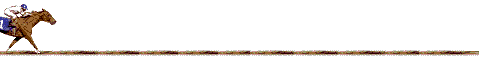 animatedrace.gif (480x58, 69Kb)