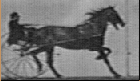 BlackHorserisak.gif (140x81, 57Kb)