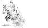 head.gif (185x110, 10Kb)
