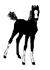 jern.gif (50x70, 1Kb)