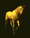 konidsolov.gif (120x150, 24Kb)