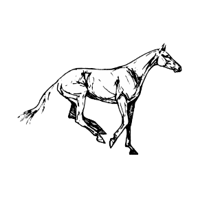 shpringart.gif (288x288, 120Kb)