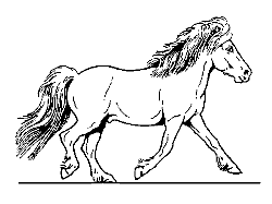 toelt.gif (250x187, 27Kb)