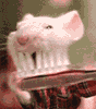 av-135432.gif (88x100, 18Kb)