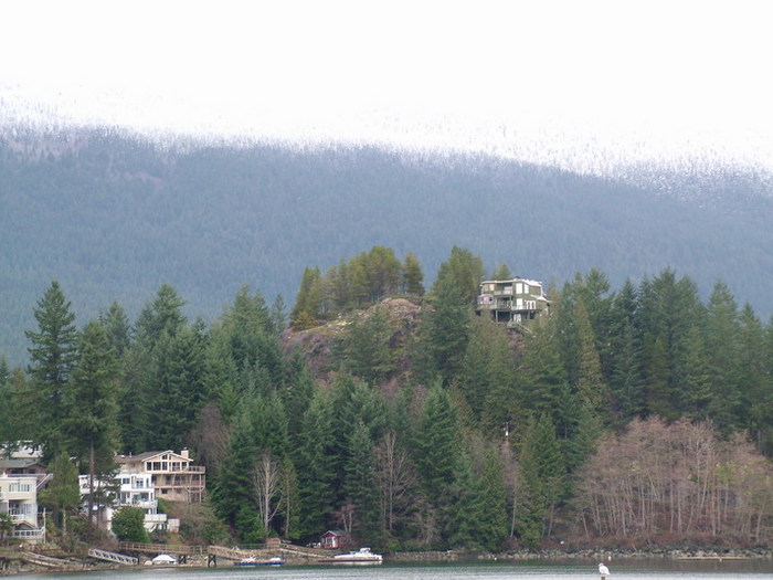 DSCF2246_resize.JPG (700x525, 95Kb)