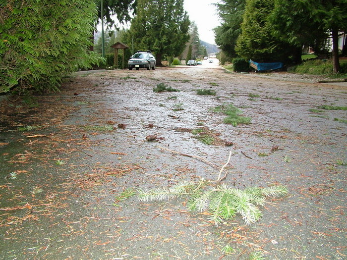 DSCF2313_resize.JPG (700x525, 194Kb)