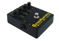 sansamp_gt2.jpg (200x141, 6Kb)