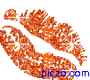 i74305141_3627.gif (101x90, 5Kb)