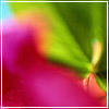 abs_15a.jpg (100x100, 4Kb)