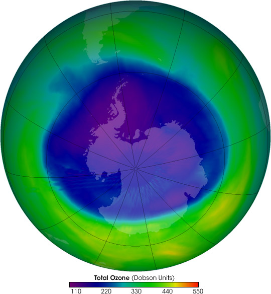 antarctica_omi_2005254.jpg (540x584, 65Kb)