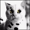741962.gif (100x100, 26Kb)