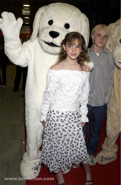 10.jpg (400x609, 109Kb)