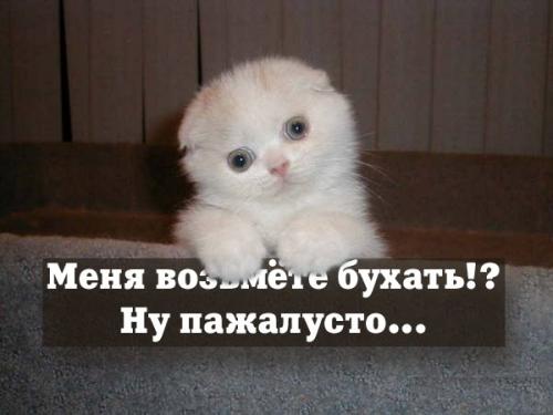 5171695_4413156_5317348.jpg (500x375, 22Kb)