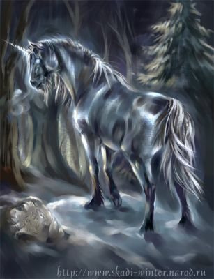 normal_new_white_unicorn.jpg (307x400, 23Kb)